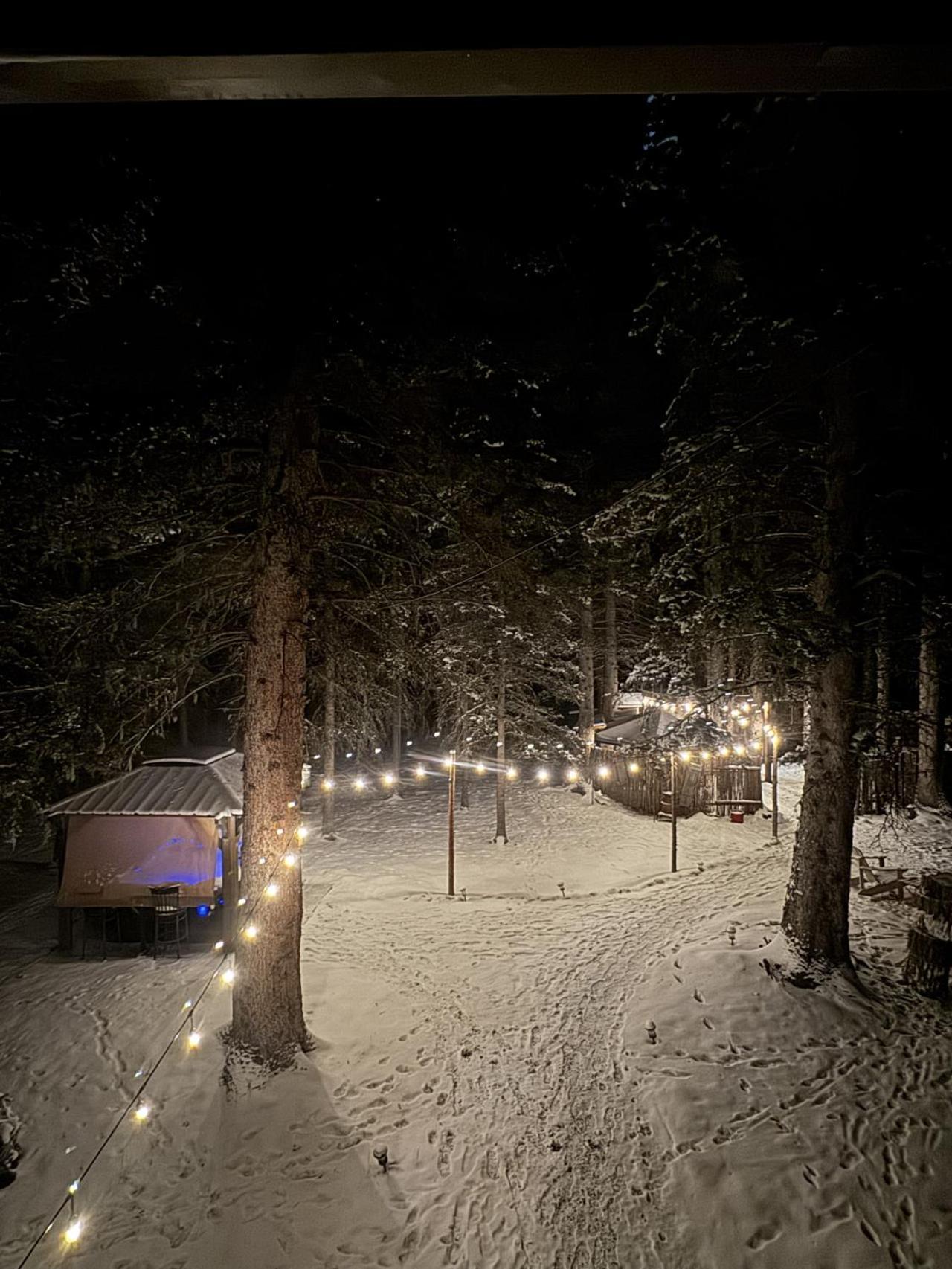 Rustic Cozy Cabin With Hot Tub Bragg Creek Eksteriør bilde