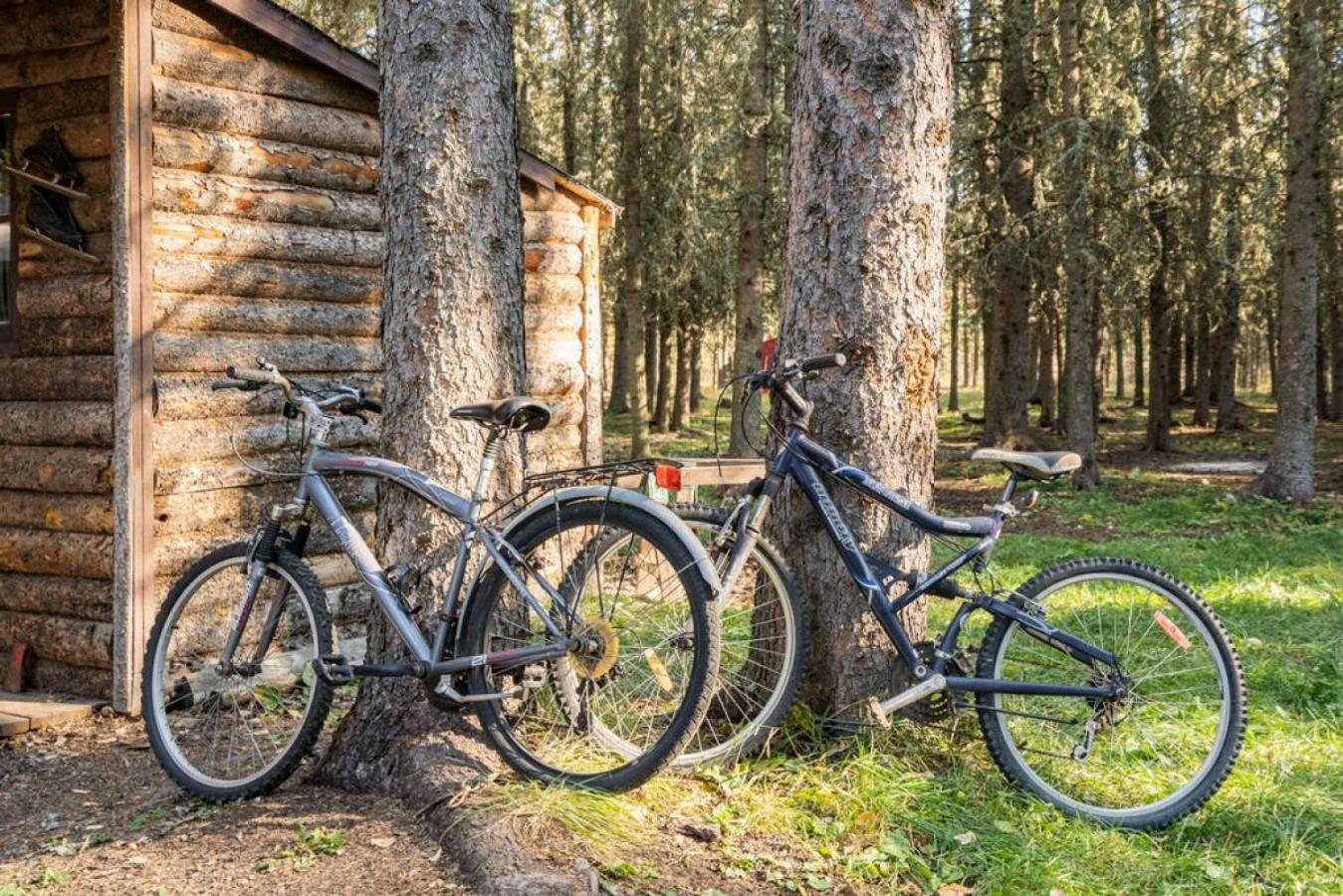 Rustic Cozy Cabin With Hot Tub Bragg Creek Eksteriør bilde